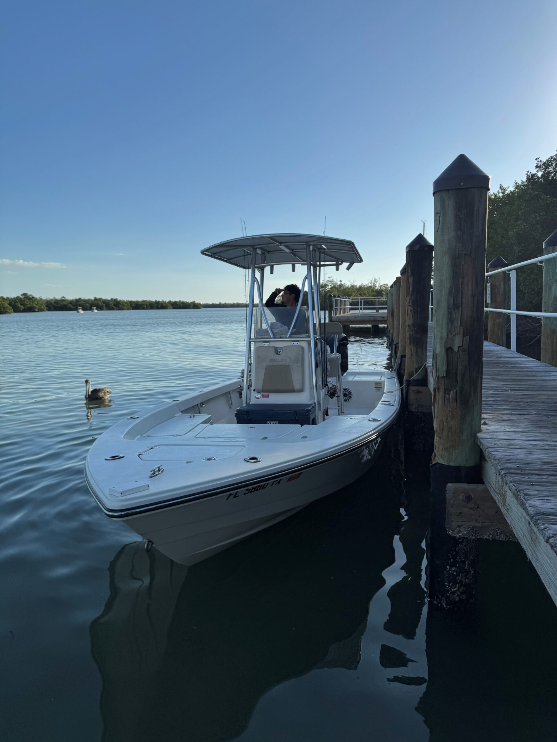 boat looking for wild life