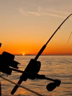Fishing Charter Open Sea