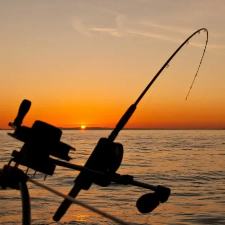 Fishing Charter Open Sea Fishing Charter Open Sea